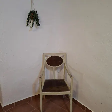 Cal Tonico Rural Guest House Ribes De Freser Exterior photo