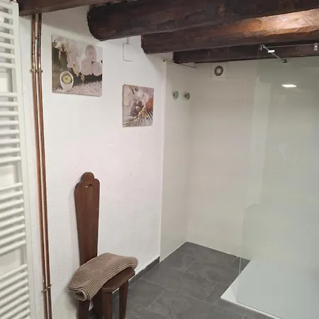 Cal Tonico Rural Guest House Ribes De Freser Exterior photo